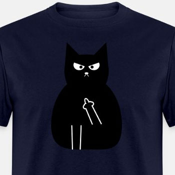 Angry black cat