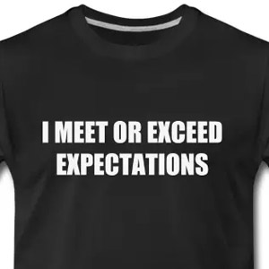 I meet or exceed expectations