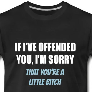 If I've offended you, I'm sorry ...