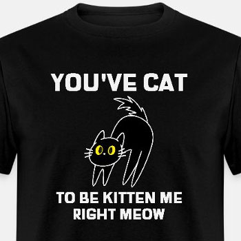 You've cat to be kitten me right meow